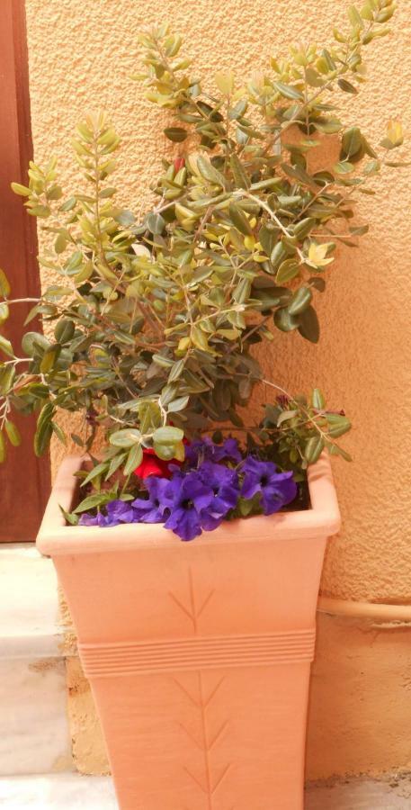 Elegant And Comfortable Apartment In The City Center Ermoupoli Buitenkant foto
